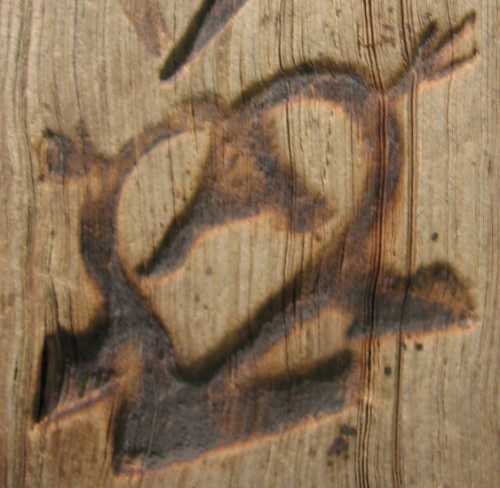 4718-mf-corazon.jpg