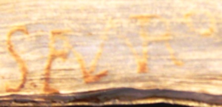 17159-mfsem_orig.jpg