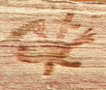 13003.06_mf_inf-mini.jpg