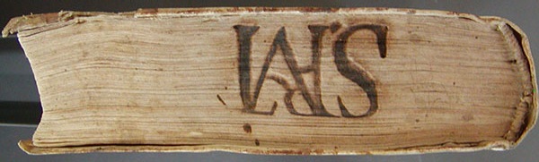 cocy_146_canto_bf12061.jpg