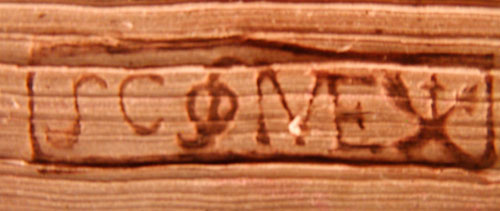 cocy_3494_mf.jpg