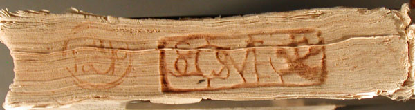 cocy_3903_canto.jpg