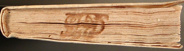 cova_108_canto_bf12022.jpg