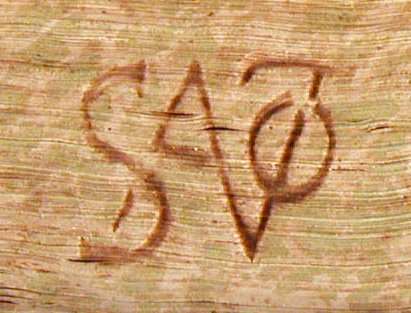 sato_115_mf.jpg