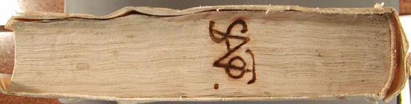sato_225_canto_bf12055.jpg
