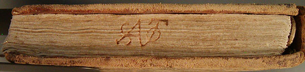 sato_24_canto.jpg