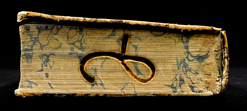 SACE16054_canto.jpg