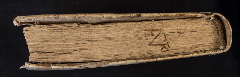 cova106_canto.jpg