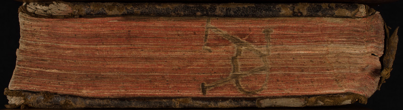 osfm8425_canto.jpg