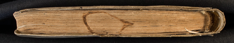 osfm8908_canto.jpg