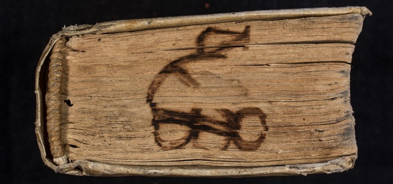 osfm8943_canto.jpg