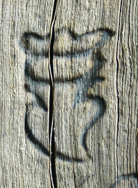 98663-mf.jpg