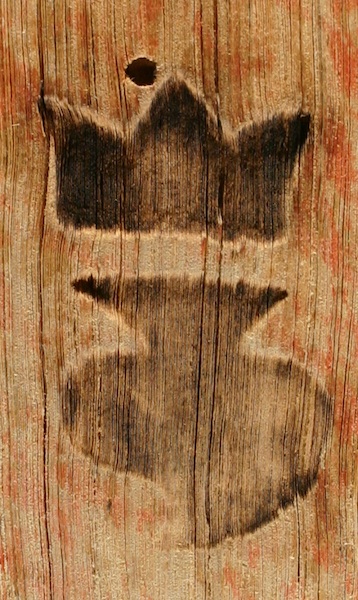 R0164-mf.jpg