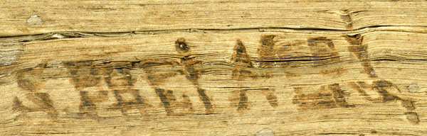 R078974-libro_mf.jpg