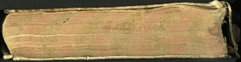 R078979-canto.jpg